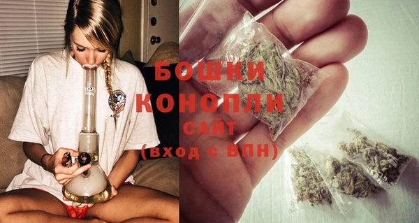 прущий лед Бронницы